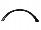 Fender trim (molding)