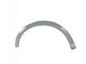 Fender trim (molding)