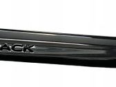Fender trim (molding)