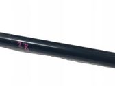 Tailgate/trunk strut/damper