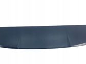 Becquet de lunette arrière