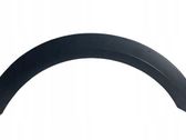 Fender trim (molding)