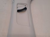 (B) pillar trim (top)