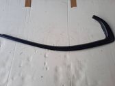 Rear door glass trim molding