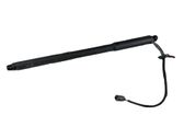 Tailgate/trunk strut/damper
