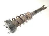 Front shock absorber with coil spring