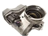 Throttle body valve