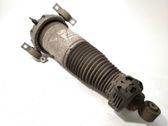 Rear shock absorber/damper