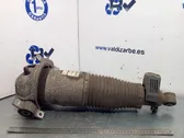 Rear shock absorber/damper