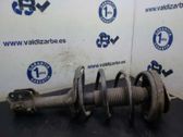 Amortiguador delantero con muelle espiral