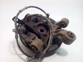 Rear wheel hub spindle/knuckle