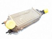 Radiador intercooler