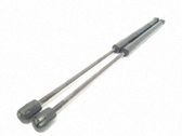 Tailgate/trunk strut/damper