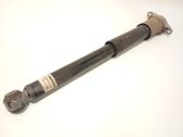 Stoßdämpfer hinten