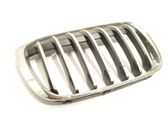 Fender grill