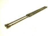 Tailgate/trunk strut/damper