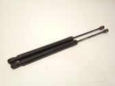 Tailgate/trunk strut/damper