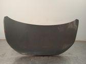 Motorhaube