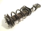 Front shock absorber with coil spring