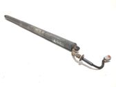 Tailgate/trunk strut/damper