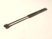 Tailgate/trunk strut/damper