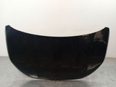 Motorhaube