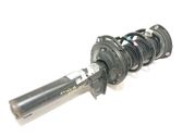 Front shock absorber with coil spring