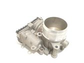 Throttle body valve
