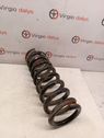 Front coil spring