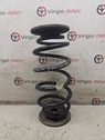 Rear coil spring