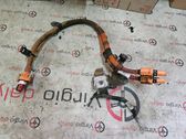Other wiring loom