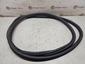 Rear door rubber seal (on body)