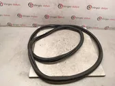 Rear door rubber seal (on body)