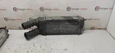 Radiador intercooler