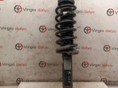 Rear shock absorber with coil spring