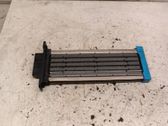 Electric cabin heater radiator