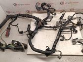 Engine installation wiring loom
