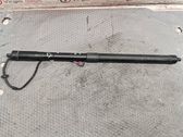Tailgate/trunk strut/damper