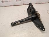 Rear shock absorber/damper