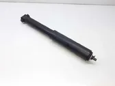 Rear shock absorber/damper