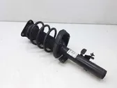 Front shock absorber with coil spring