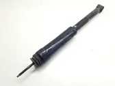 Rear shock absorber/damper