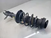 Front shock absorber with coil spring