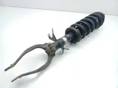 Front shock absorber with coil spring