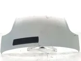 Engine bonnet/hood