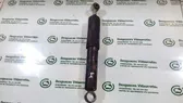 Front shock absorber with coil spring