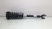 Front shock absorber with coil spring