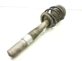 Front shock absorber with coil spring