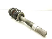 Front shock absorber with coil spring