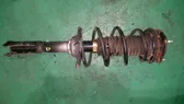 Front shock absorber with coil spring